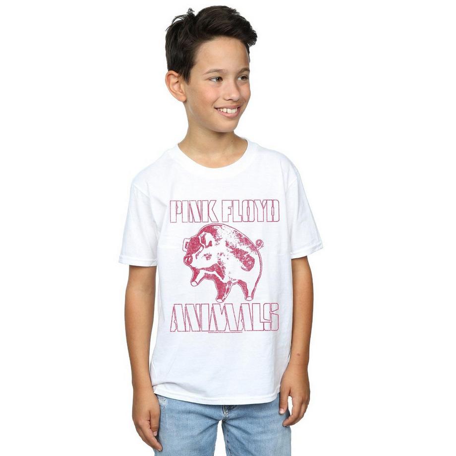 Pink Floyd  Animals TShirt 
