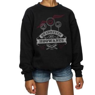 Harry Potter  Quidditch At Hogwarts Sweatshirt 