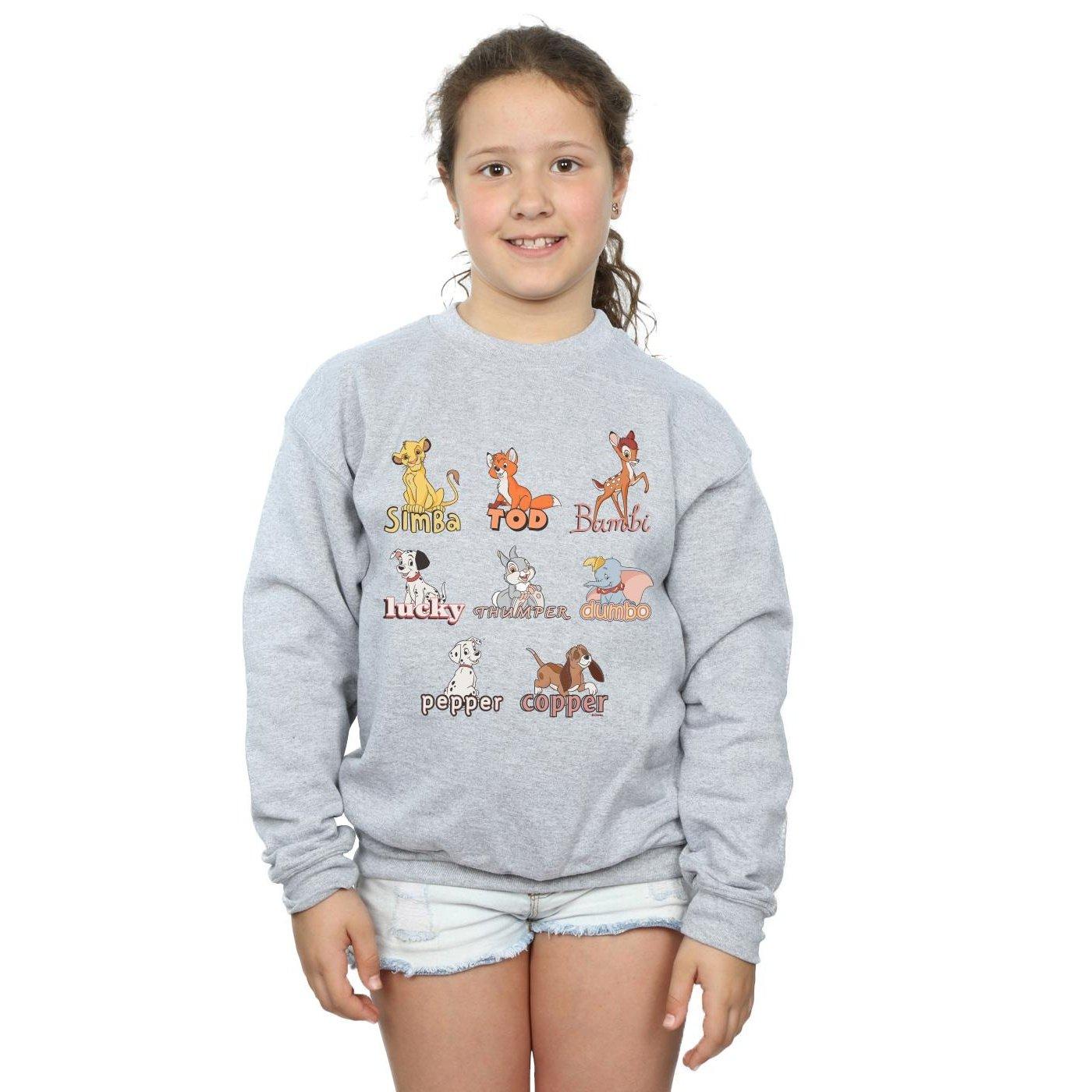 Disney  Little Friends Sweatshirt 