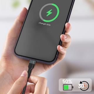 Avizar  Cavo da USB-C a Lightning 27W 1,2m LinQ 