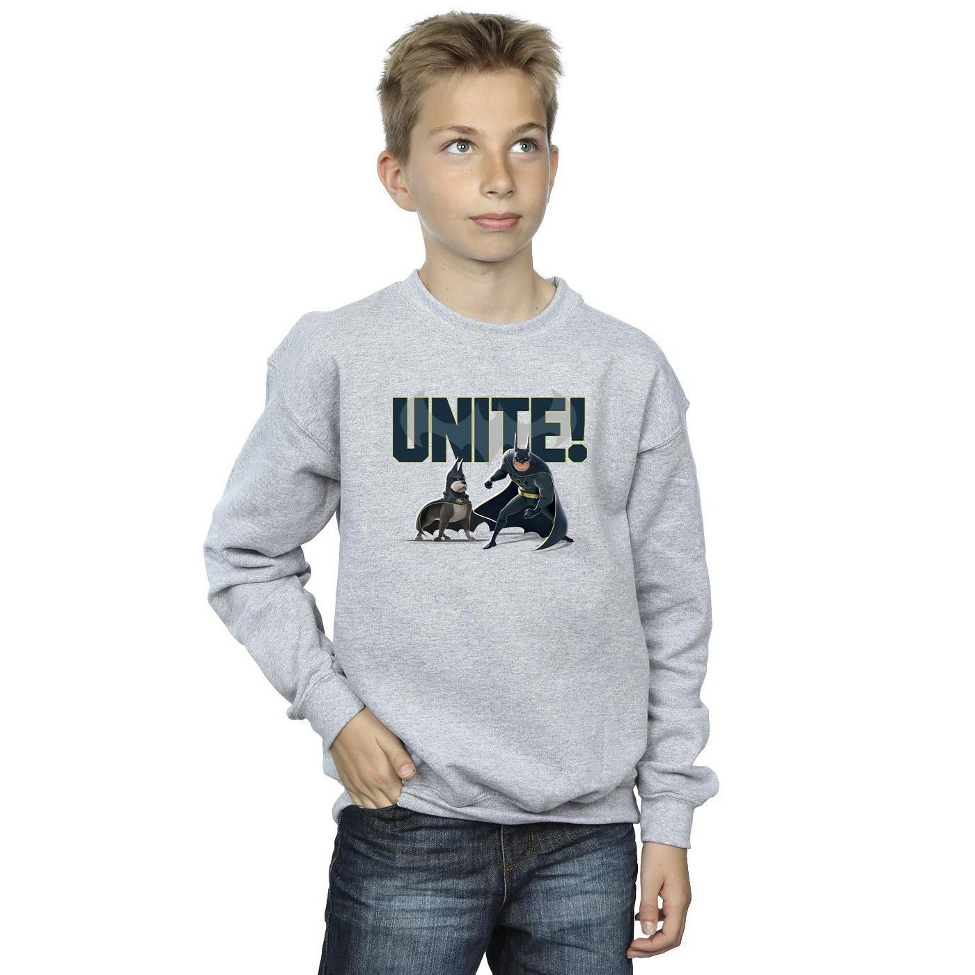 DC COMICS  DC League Of SuperPets Unite Pair Sweatshirt 