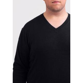 CASH-MERE.CH  Kaschmir V-Ausschnitt Pullover 