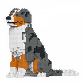 Jekca Limited  Australian Shepherd Hund 