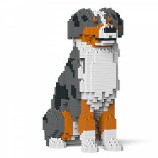 Jekca Limited  Australian Shepherd Hund 