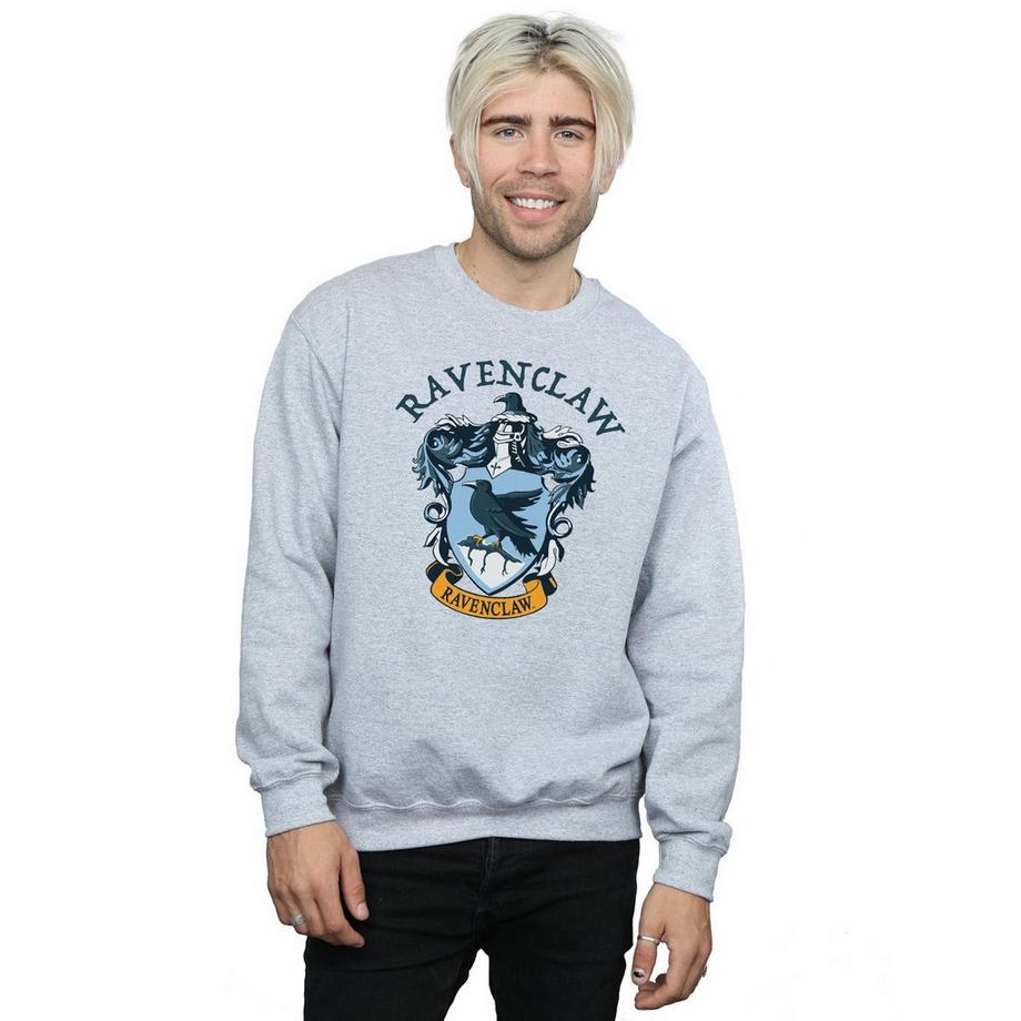 Harry Potter Corvonero Stemma Felpa  