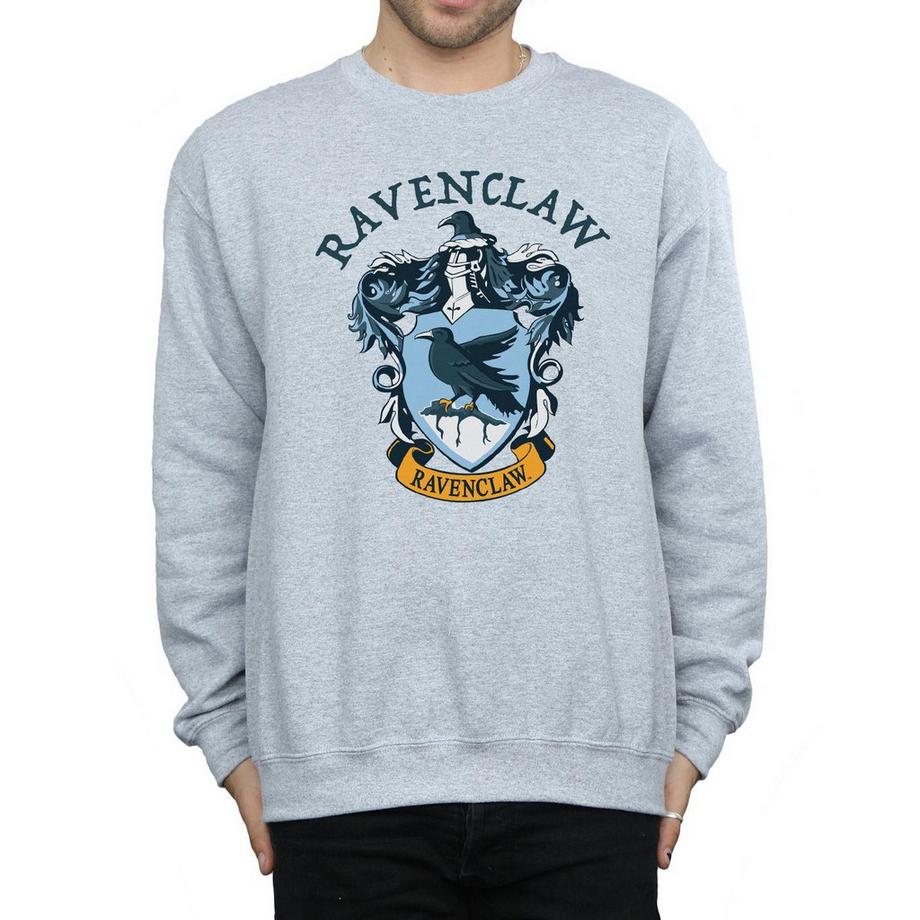 Harry Potter Corvonero Stemma Felpa  