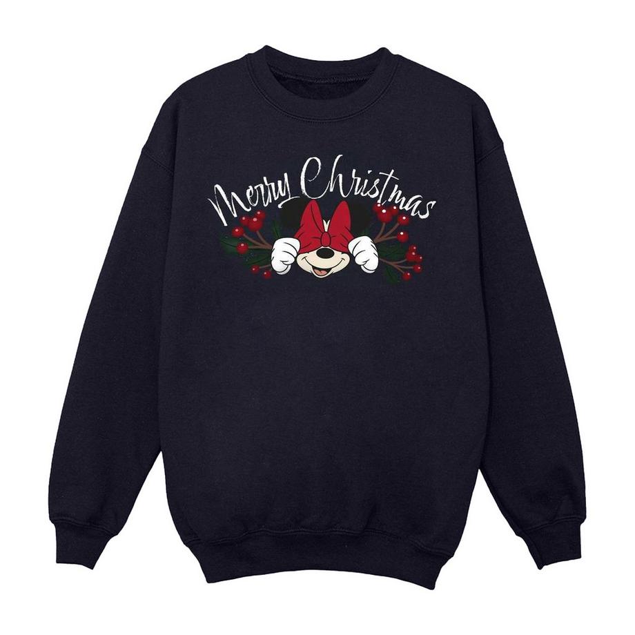 Disney  Sweatshirt 
