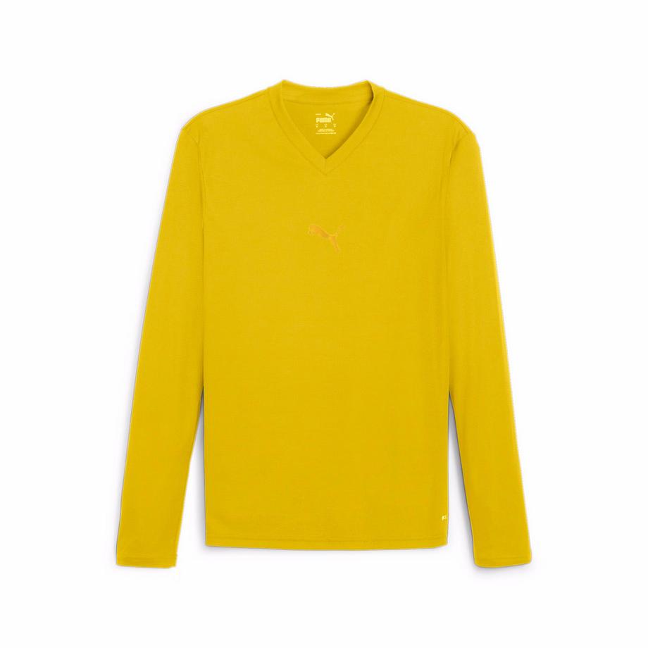 sous maillot manches longues teamgoal