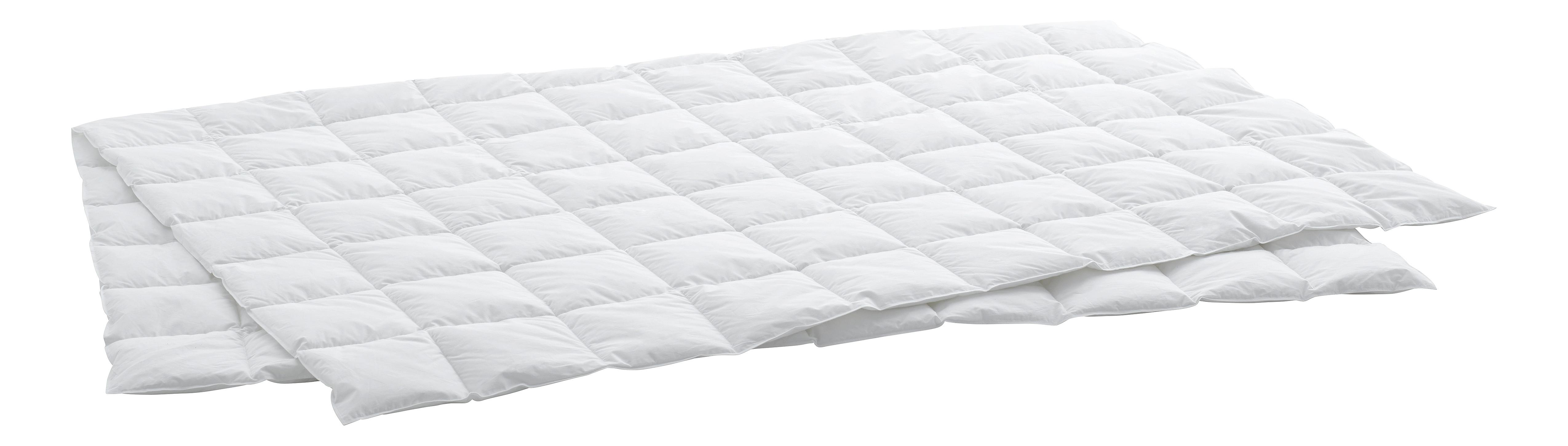 Swiss Dream Duvet Caro Superlight Classic 90  