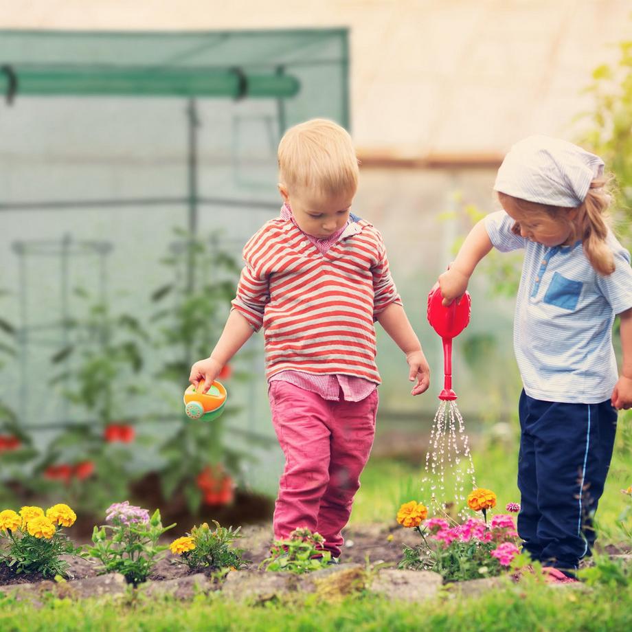 B2X Tomatengewächshaus 197 cm hoch  