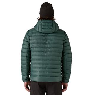 Patagonia Down Sweater Hoody  