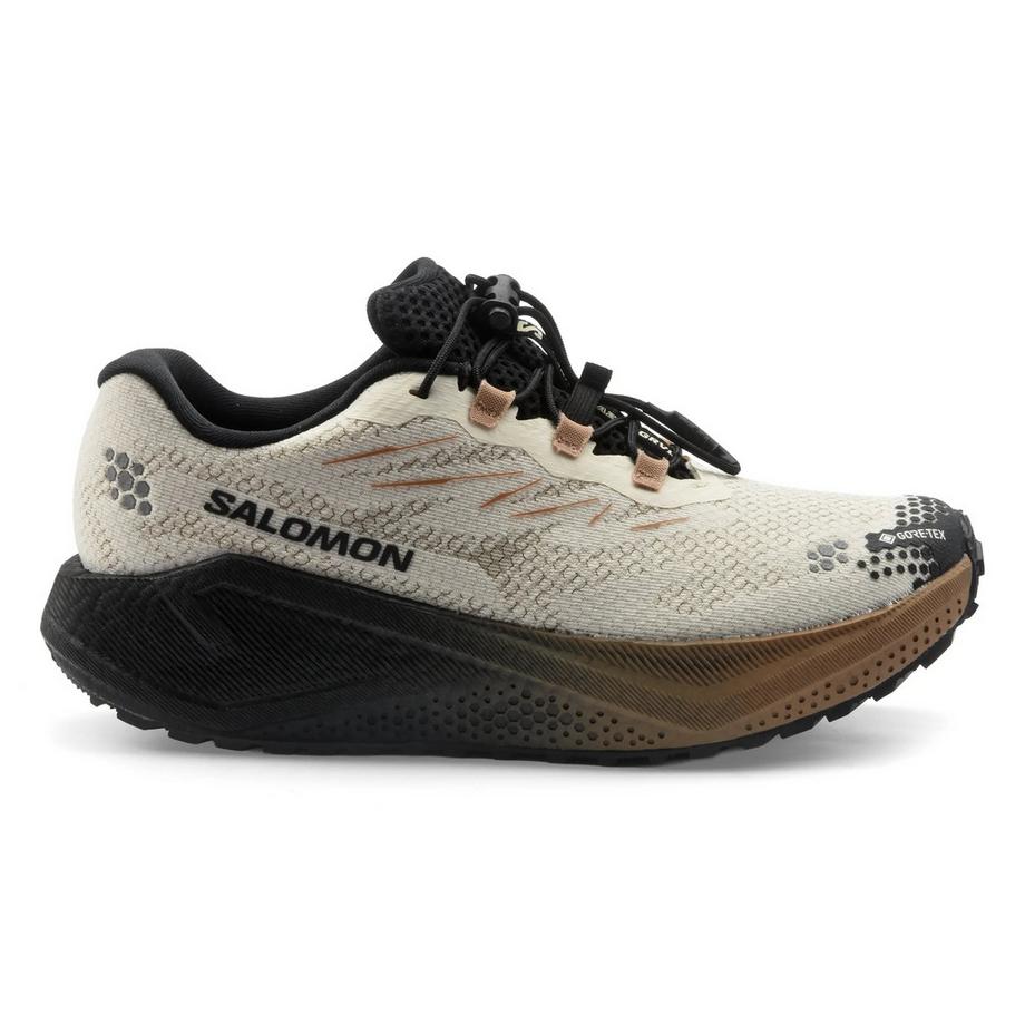 SALOMON Aero Blaze 4 Grvl GTX Trail Laufschuh  