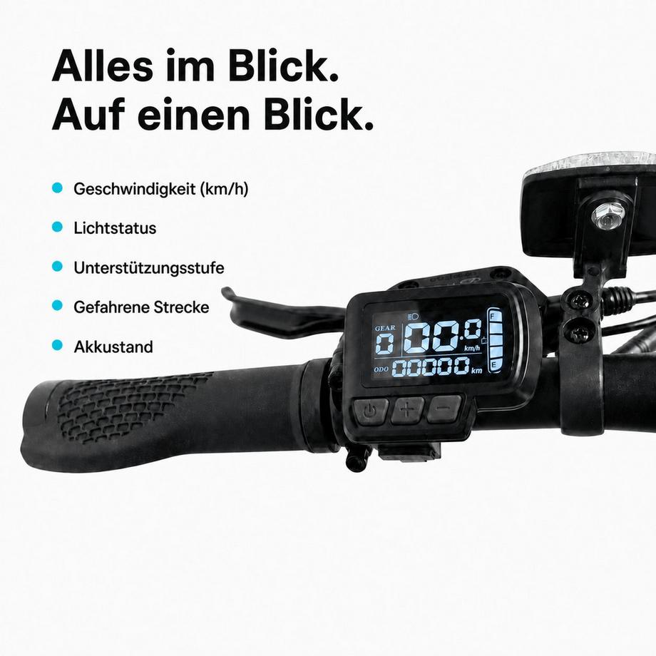 TWHEELS  Bicicletta Elettronica Pieghevole 