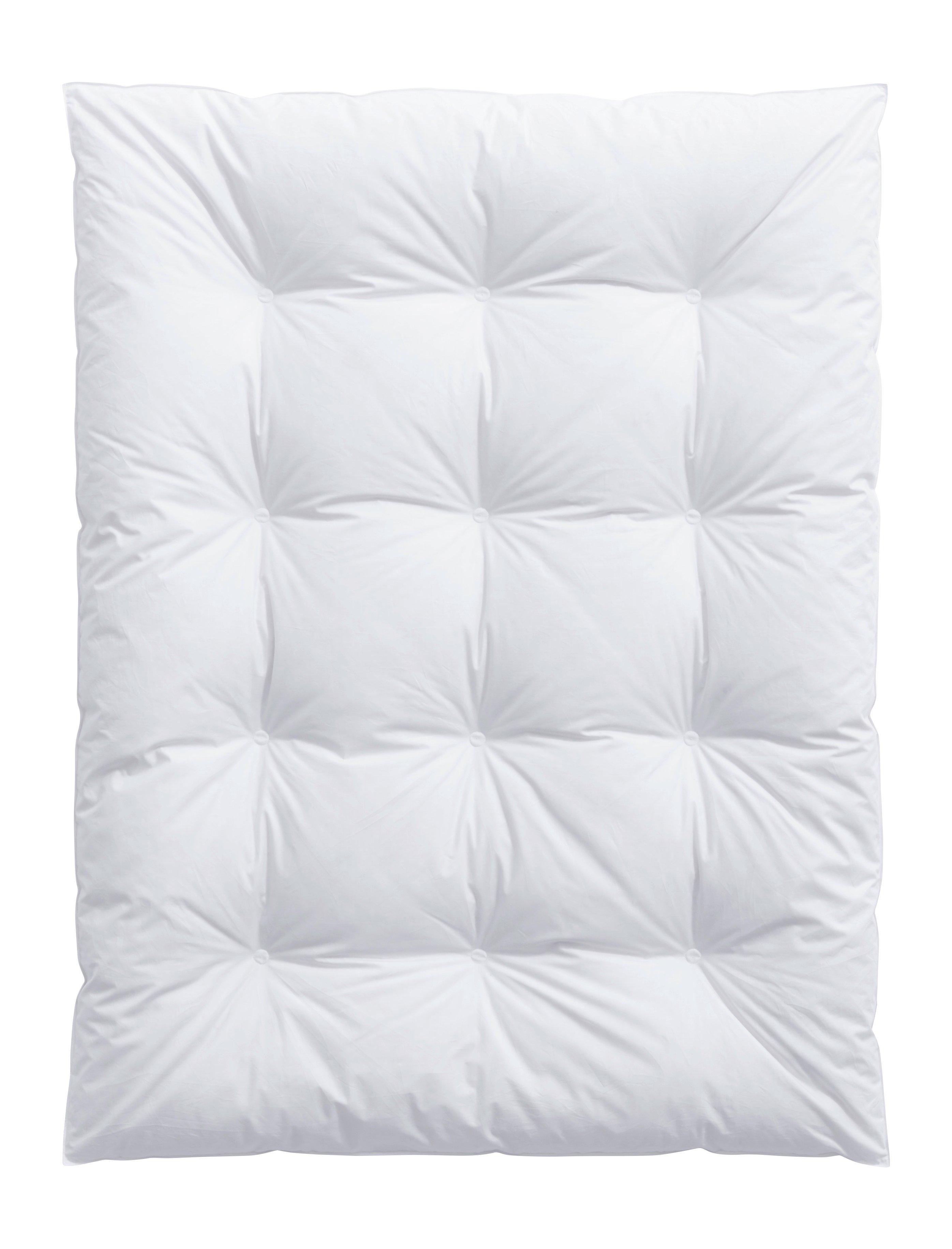 billerbeck Piumino Carmen Caldo  