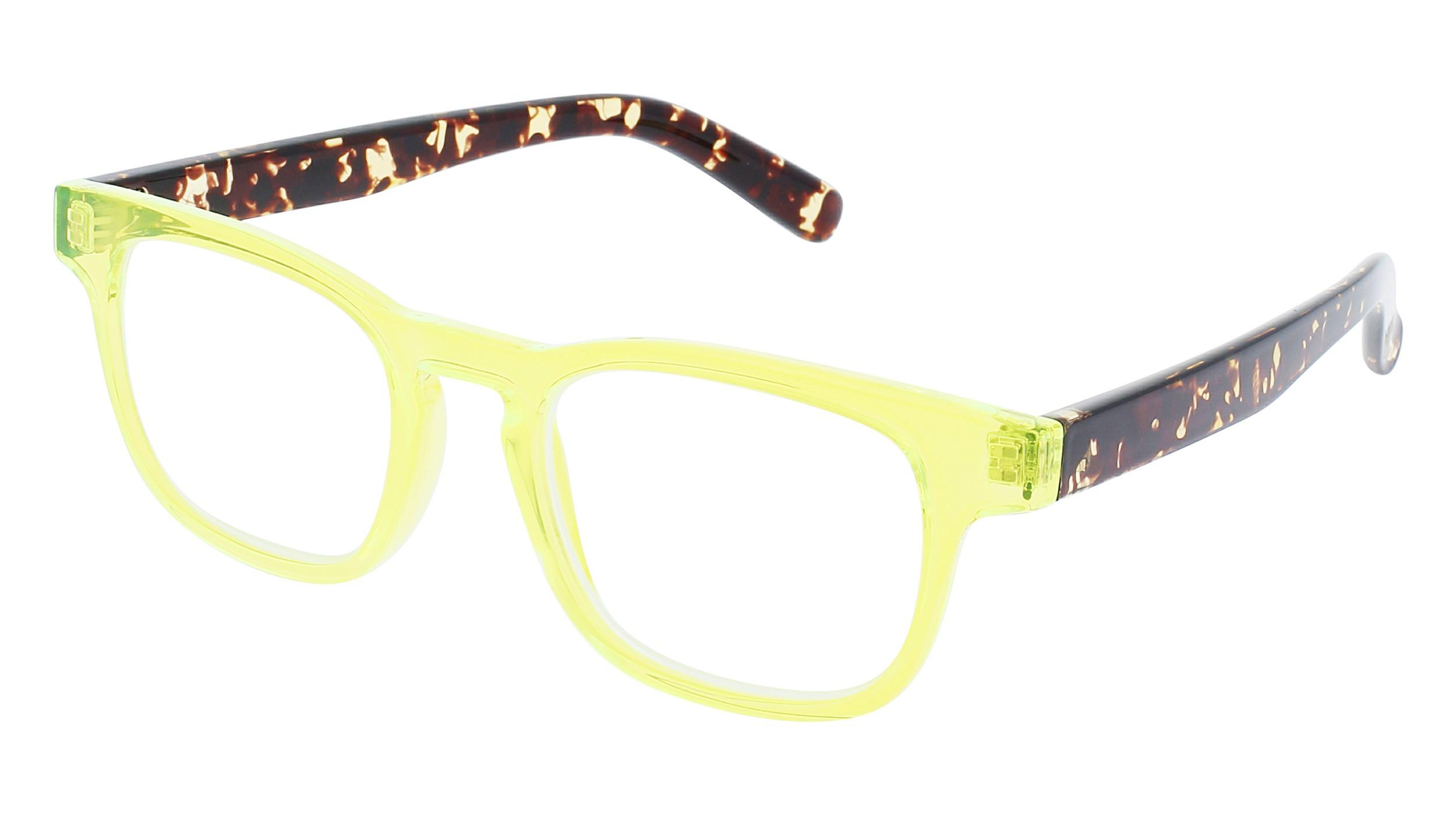 INVU Lesebrille mit Etui  