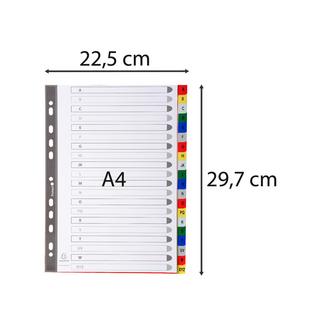 Exacompta Divisori alfabetici 20 tasti A-Z polipropilene colori A4 120 micron - A4 - x 20  