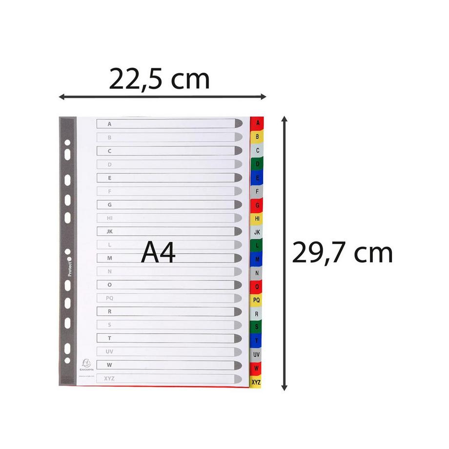 Exacompta Intercalaires imprimés alphabétiques PP couleurs 12/100 AZ - A4 - x 20  