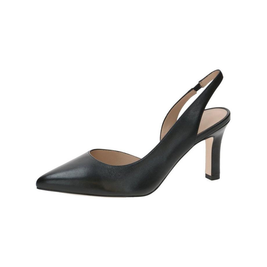 Pumps