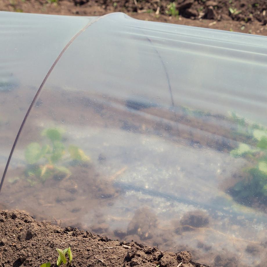 B2X Folientunnel PVC 7 m  