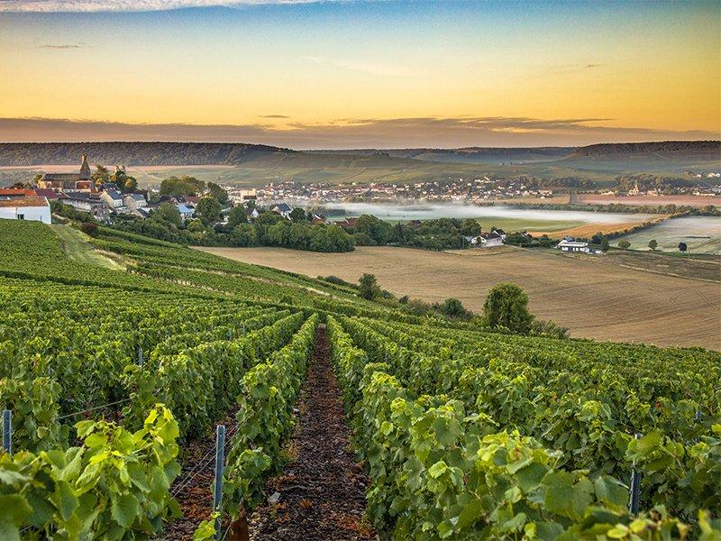 Smartbox  Entdeckungsreise in die Champagne mit 1 Übernachtung in Épernay - Geschenkbox 