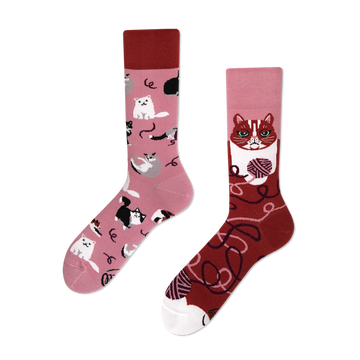 Playful Cat Socks - Many Mornings