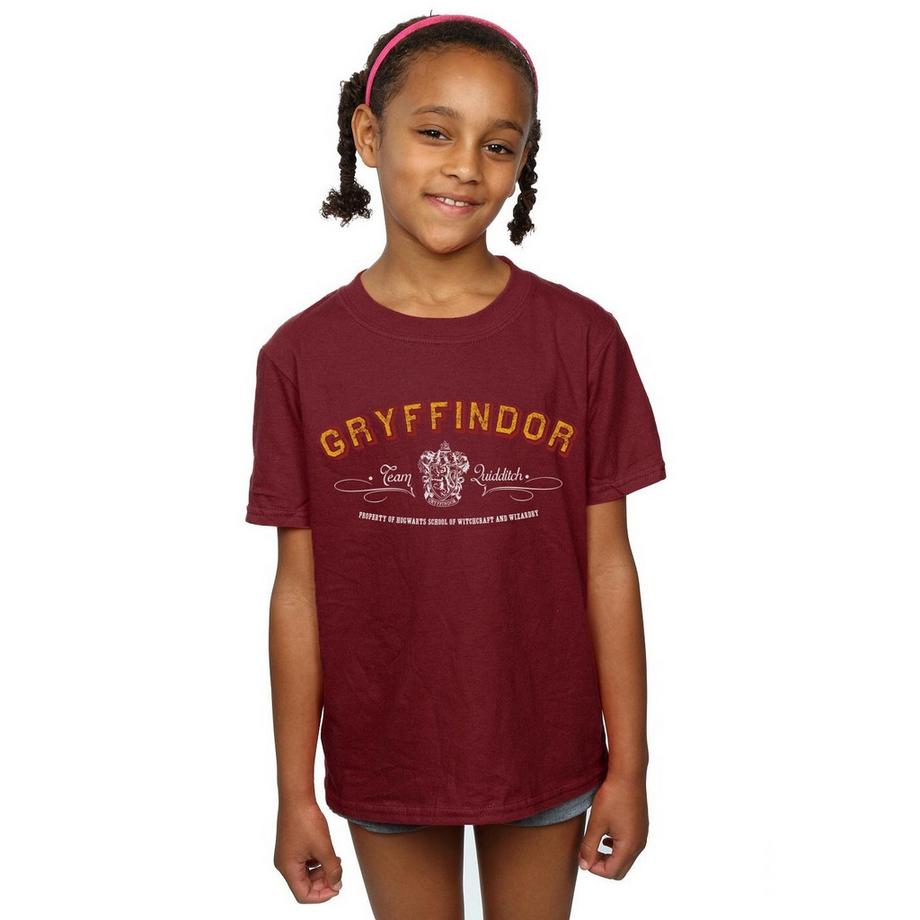 Harry Potter  Gryffindor Quidditch TShirt 