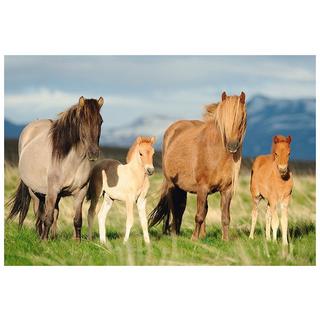 Schmidt  Puzzle Pferdefamilie (200Teile) 