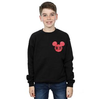 Disney  Sweatshirt 