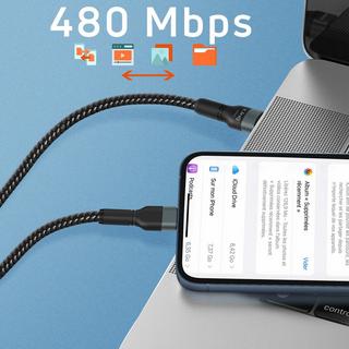 Avizar  USB-C / Lightning 27W Kabel LinQ 