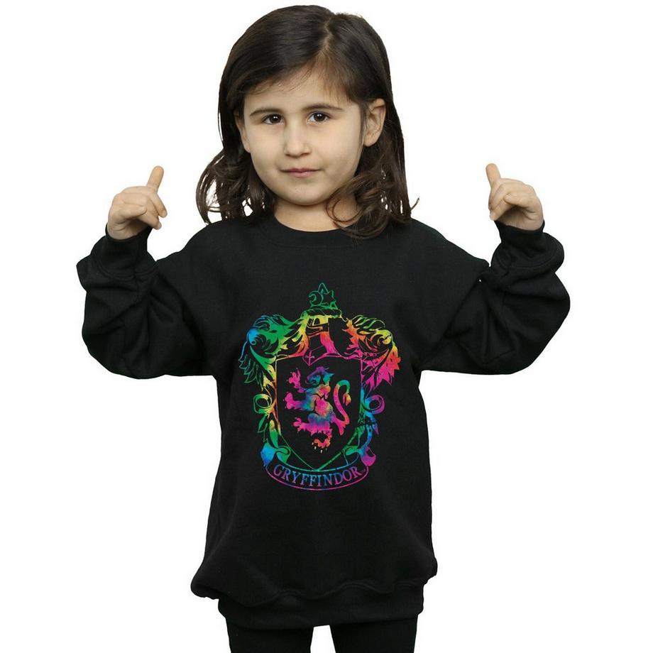 Harry Potter  Gryffindor Sweatshirt 