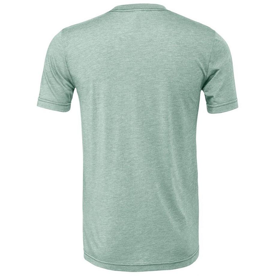 Bella + Canvas CVC T-Shirt Erwachsene  