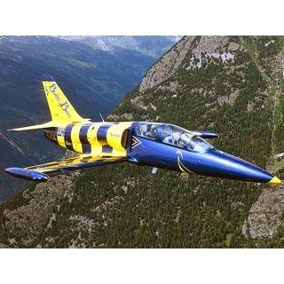 Smartbox  Vol exceptionnel de 30 min en avion de chasse L-39 Albatros au-dessus des montagne suisses - Coffret Cadeau 