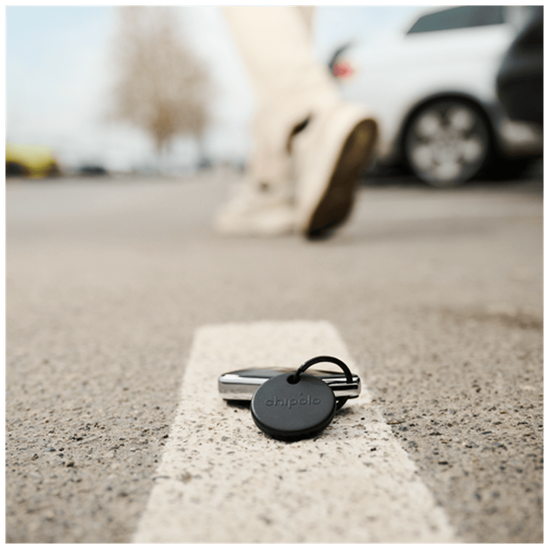 CHIPOLO POP Schwarz Item Finder  