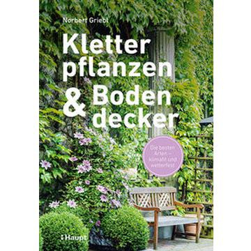 Kletterpflanzen und Bodendecker