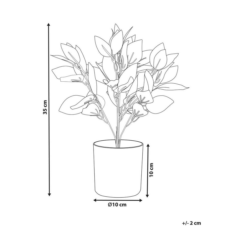 Beliani Plante artificielle en Matière synthétique TRADESCANTIA  