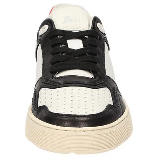 Sioux  Sneaker Tedroso-DA-700 