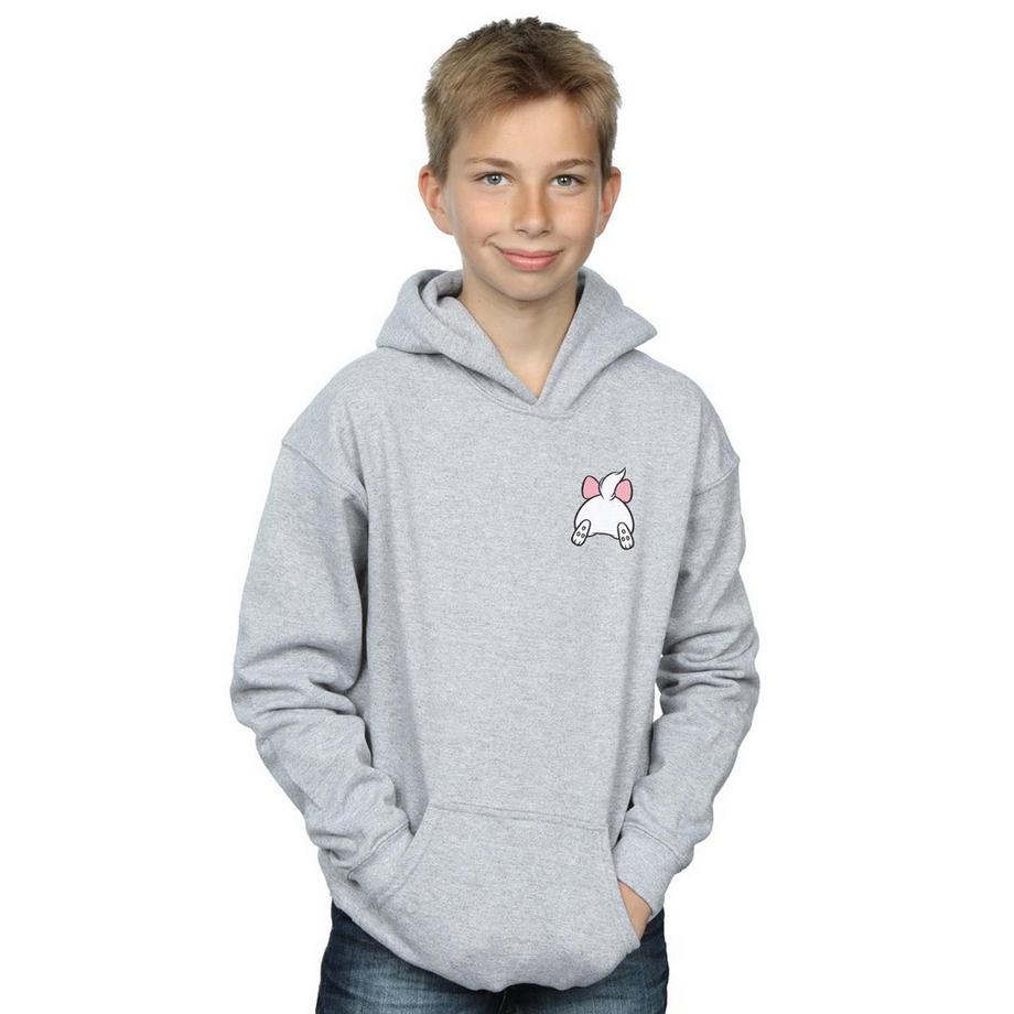 Disney  Sweat à capuche ARISTOCATS 