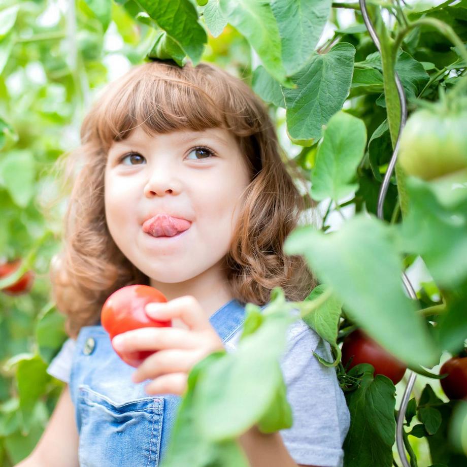 B2X set di 10 bastoncini a spirale Pomodori  