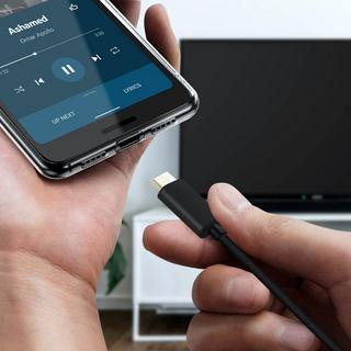 Avizar  USB-C / HDMI Video Kabel Schwarz 