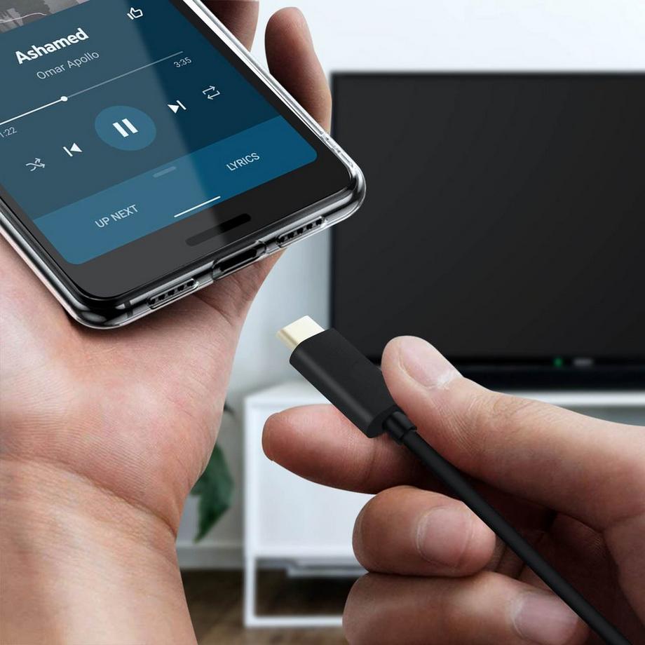 Avizar  Câble vidéo USB-C vers HDMI Noir 