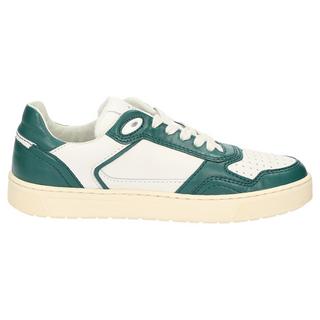 Sioux  Sneaker Tedroso-DA-700 