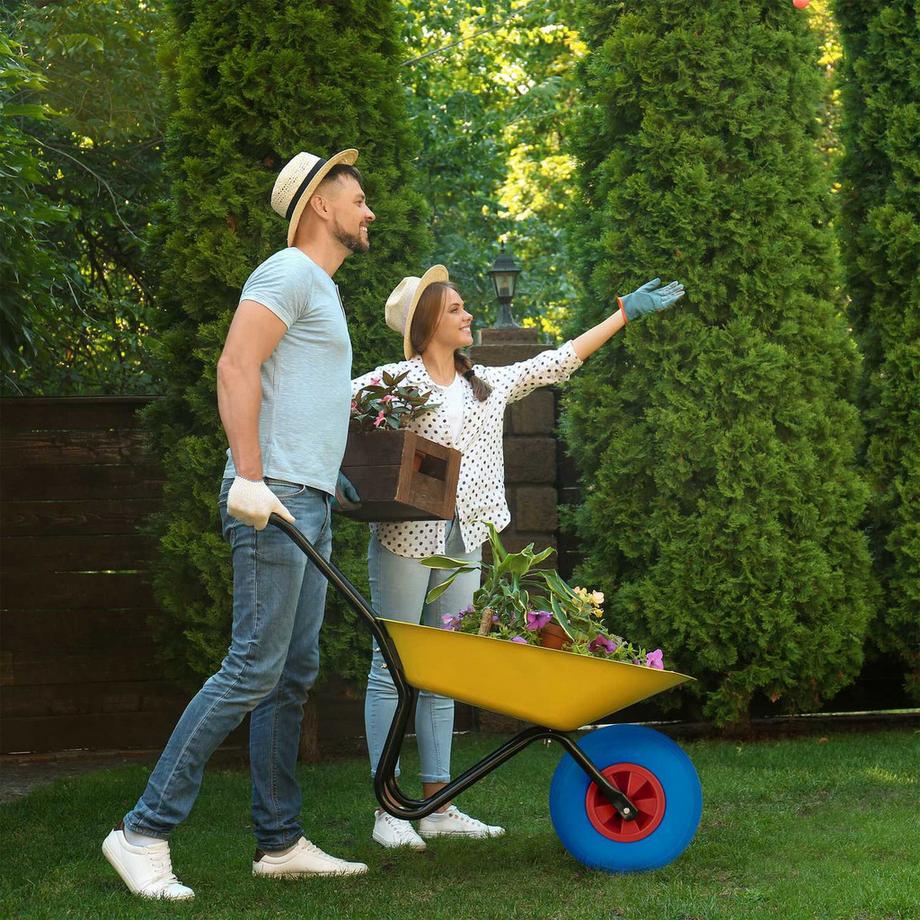 B2X  Rad für Schubkarre 3.50-6 in/rot 