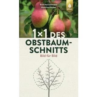 1 x 1 des Obstbaumschnitts Heinzelmann, Rolf; Nuber, Manfred Gebundene Ausgabe 