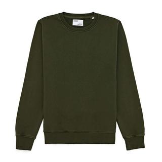 Colorful Standard  Sweatshirt mit Rundhalsausschnitt  Classic Organic seaweed green 