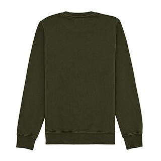 Colorful Standard  Sweatshirt mit Rundhalsausschnitt  Classic Organic seaweed green 