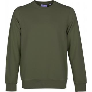 Colorful Standard  Sweatshirt mit Rundhalsausschnitt  Classic Organic seaweed green 