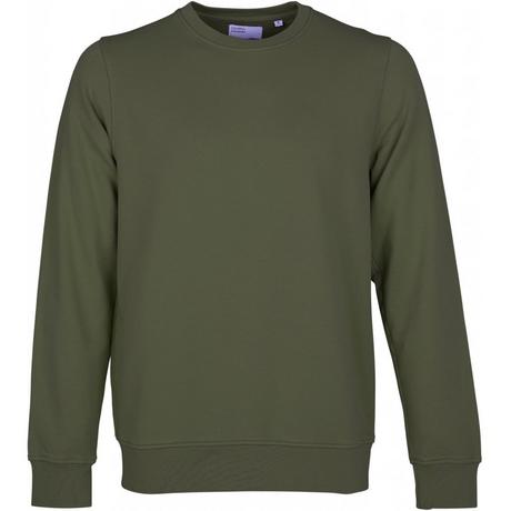 Colorful Standard  Sweatshirt mit Rundhalsausschnitt  Classic Organic seaweed green 