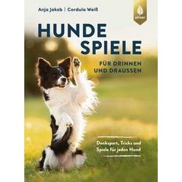 Hundespiele für drinnen und draußen