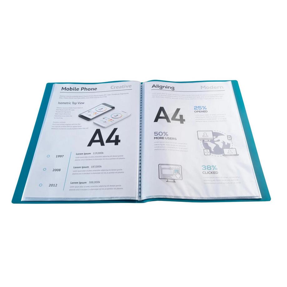 Exacompta EXACOMPTA Sichtbuch A4 8543E grün  