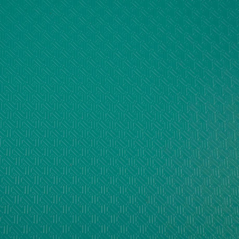 Exacompta EXACOMPTA Sichtbuch A4 8543E grün  